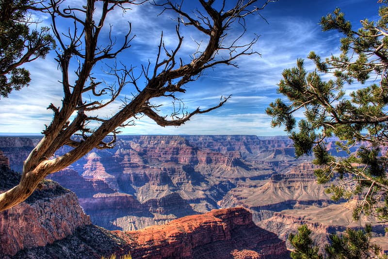 3 lieux incontournables à visiter pour un trip familial mémorable aux USA 3 lieux incontournables à visiter pour un trip familial mémorable aux USA