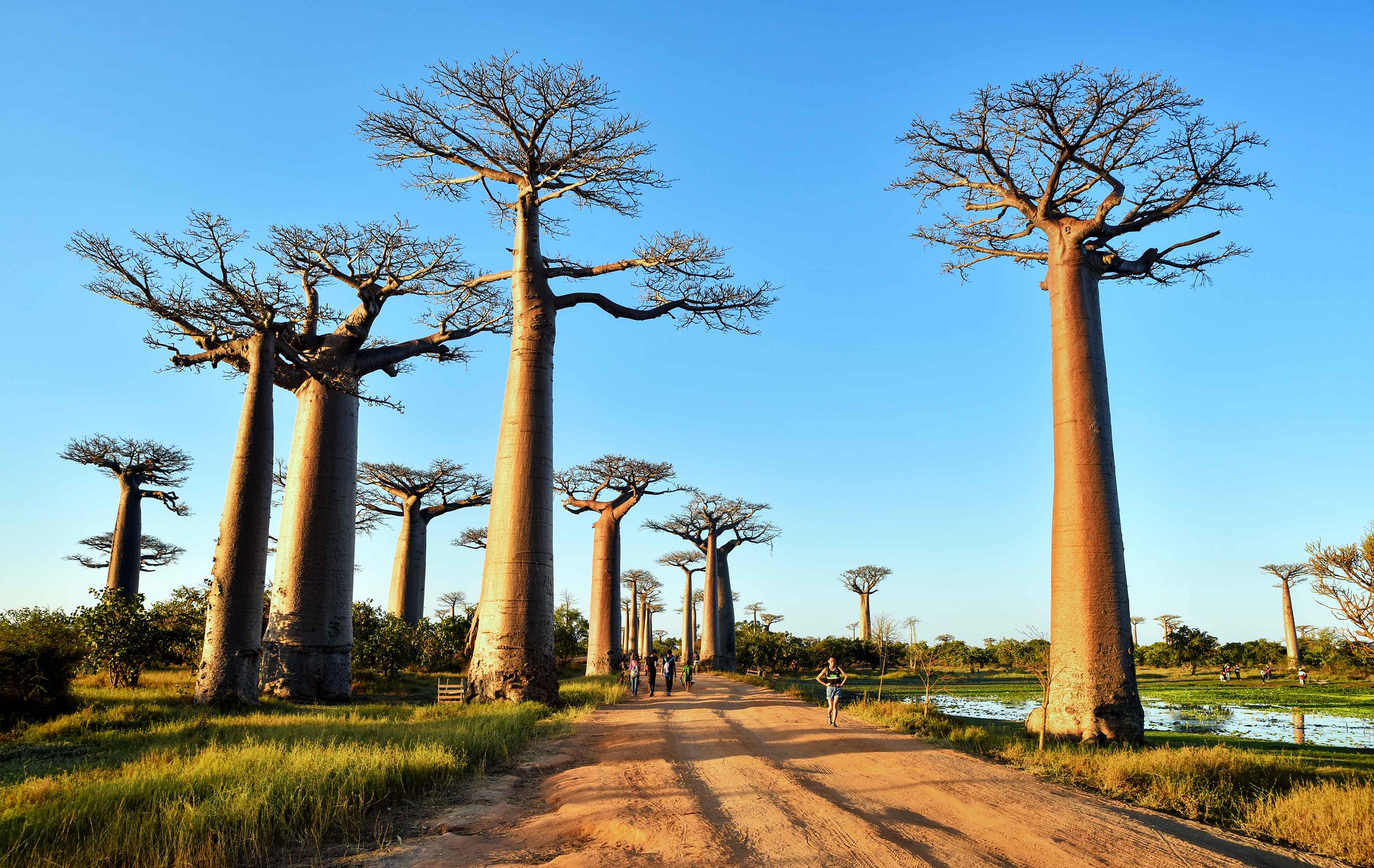 3 des meilleurs endroits à inclure dans votre circuit à Madagascar 3 des meilleurs endroits à inclure dans votre circuit à Madagascar